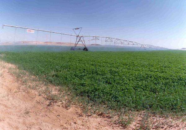 وزارة الرى: ورشة عمل لدعم مشروع نقل إدارة المياه بتكلفة 23 مليون جنيه