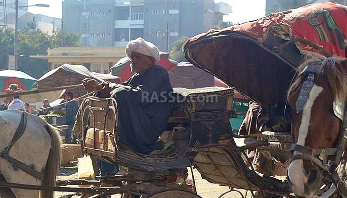 عزوف عن استخدام الحناطير.. ومالكوها: “إحنا أصحاب بيت وخيل”