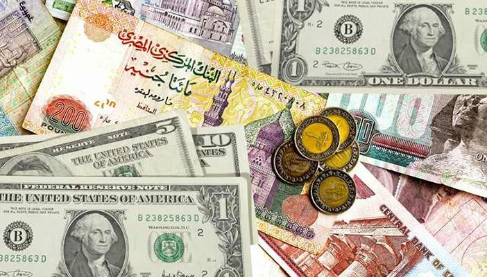 7 كوارث تنتظر الاقتصاد المصري حال بلوغ سعر الدولار 20 جنيها