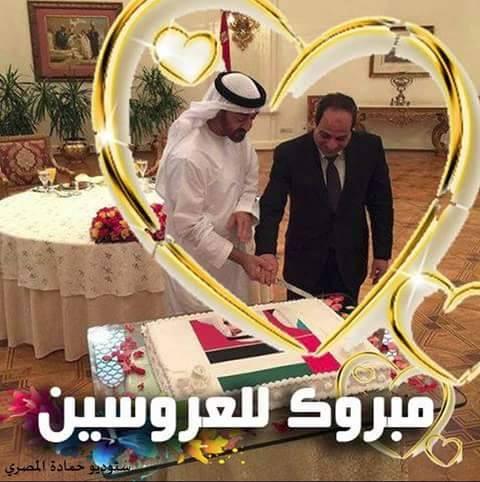 بالصور.. أشهر 10 كوميكسات لتورتة السيسي وابن زايد