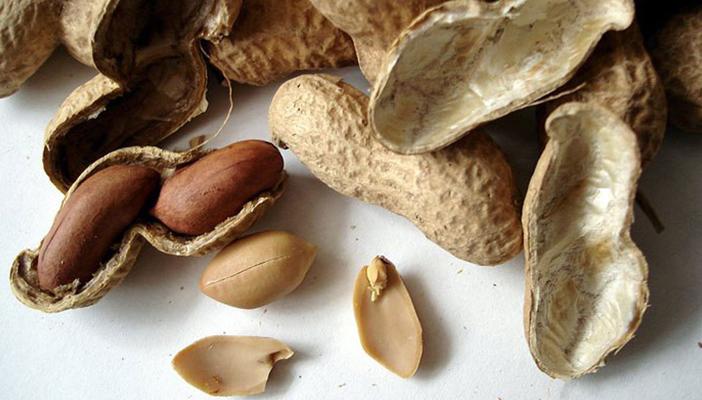 دراسة أميركية: الفول السوداني يساعد على خفض الوزن