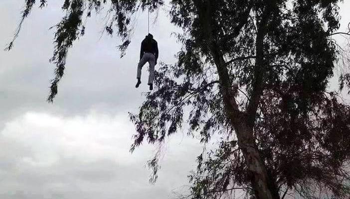 نشطاء يتداولون صورة لشاب منتحر أعلى شجرة بالدقهلية