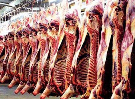 لحوم معدومة ودواجن مصعوقة وقمح مسرطن.. هذا ما يأكله المصريون