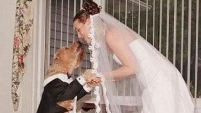 امرأة بريطانية تتزوج “كلبة”