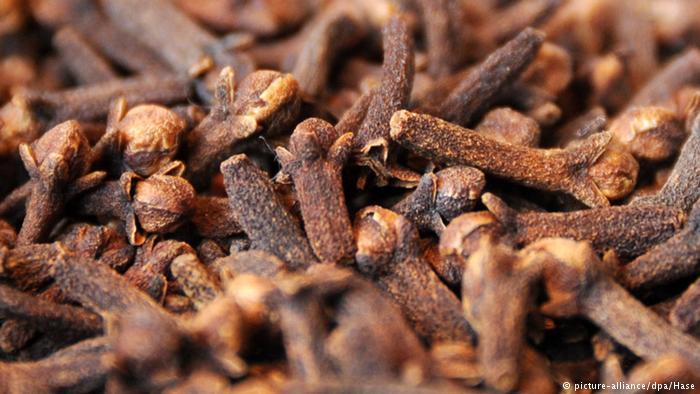 هذه الأعشاب الطبية قادرة على قتل “السرطان”