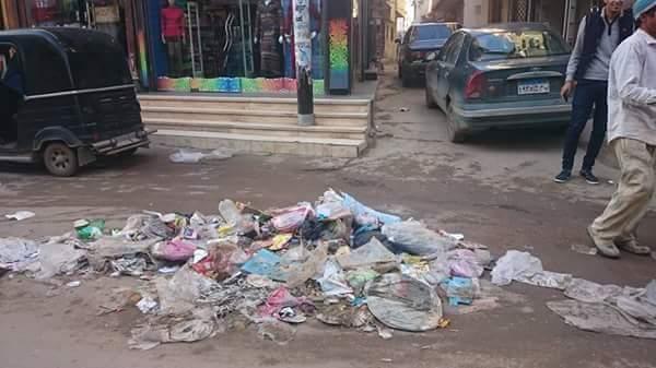 بالصور.. أهالي دلنجات البحيرة يستغيثون من انتشار تلال القمامة بالمركز