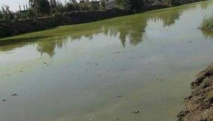 اختلاط “الصرف الصحي” بمياه الري يهدد بكارثة صحية في الشرقية