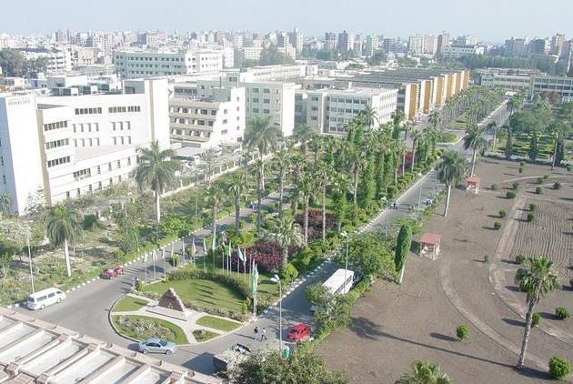 انتخابات اتحاد الطلاب بجامعة المنصورالأحد القادم