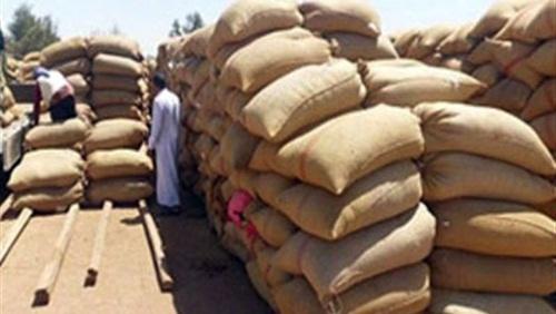 وزير التموين: تطوير 68 شونة لاستلام القمح من المزارعين