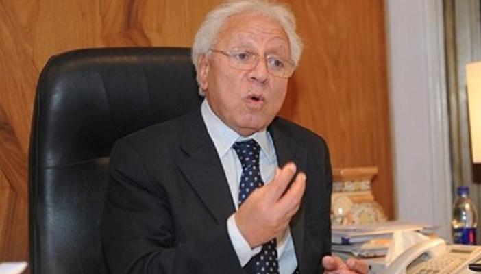 السيد: من حق الأغلبية تشكيل الوزارة حال فقدان الثقة في حكومة إسماعيل