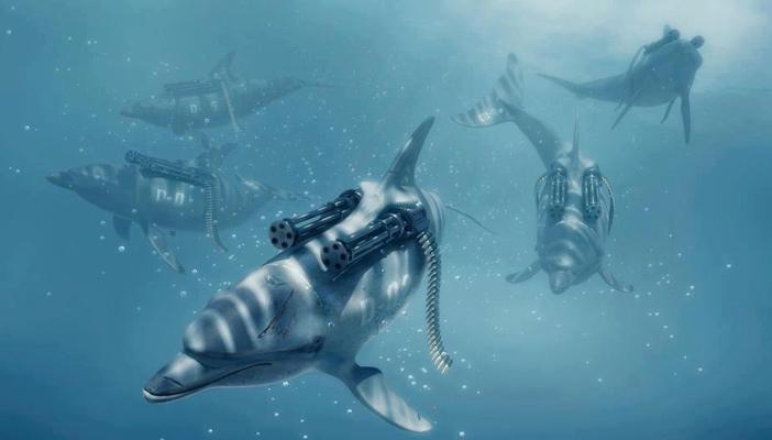 الجيش الروسي يعلن عن حاجته لشراء 5 “دلافين” بـ25 ألف دولار