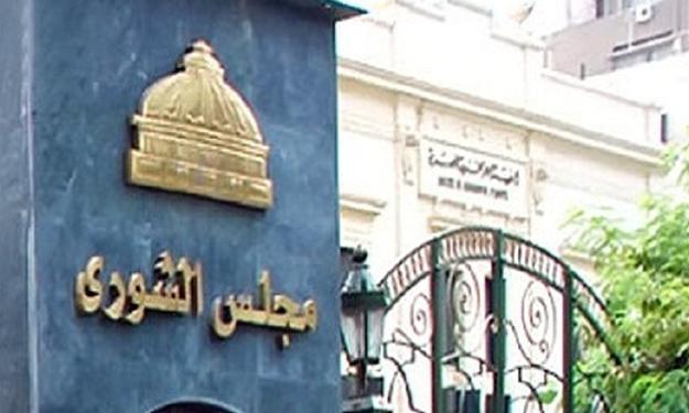 رصد  تنشر نص قانون شركات الحراسات الخاصة