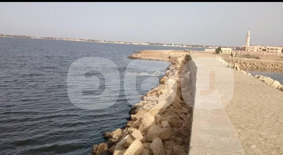 بالصور.. الثروة السمكية ببحيرة قارون مهددة بالانقراض بسبب الصرف الصحي