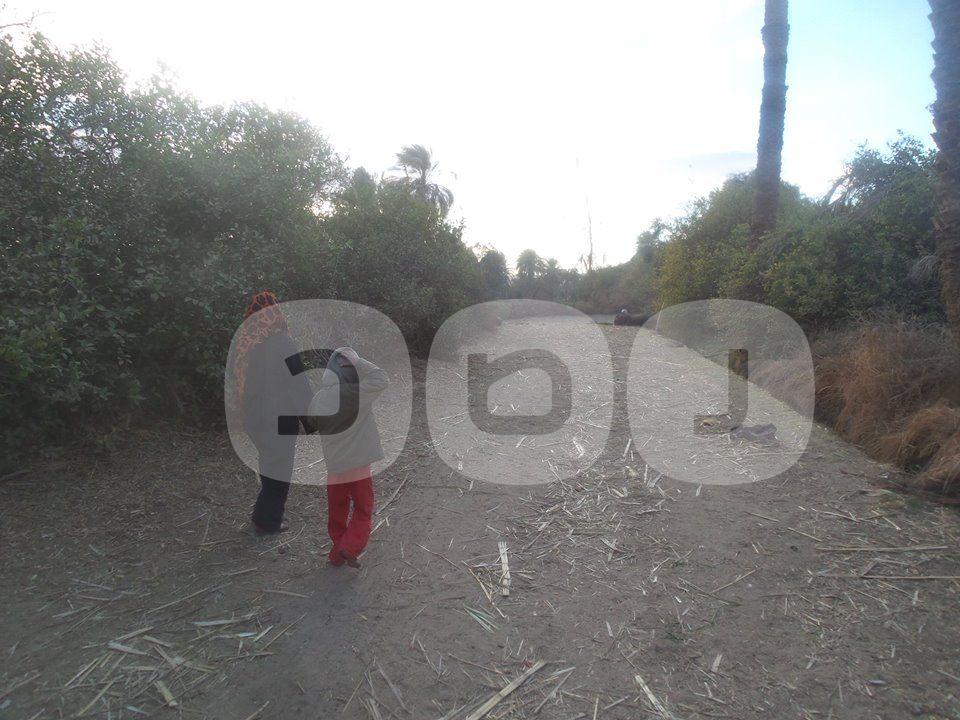 الصحة والطرق والأمن والزراعة.. أبرز مشكلات “بداري أسيوط”