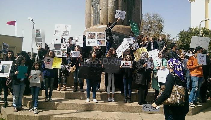 محمد طلبة رضوان يكتب: أين ذهب أولاد الكلب؟!
