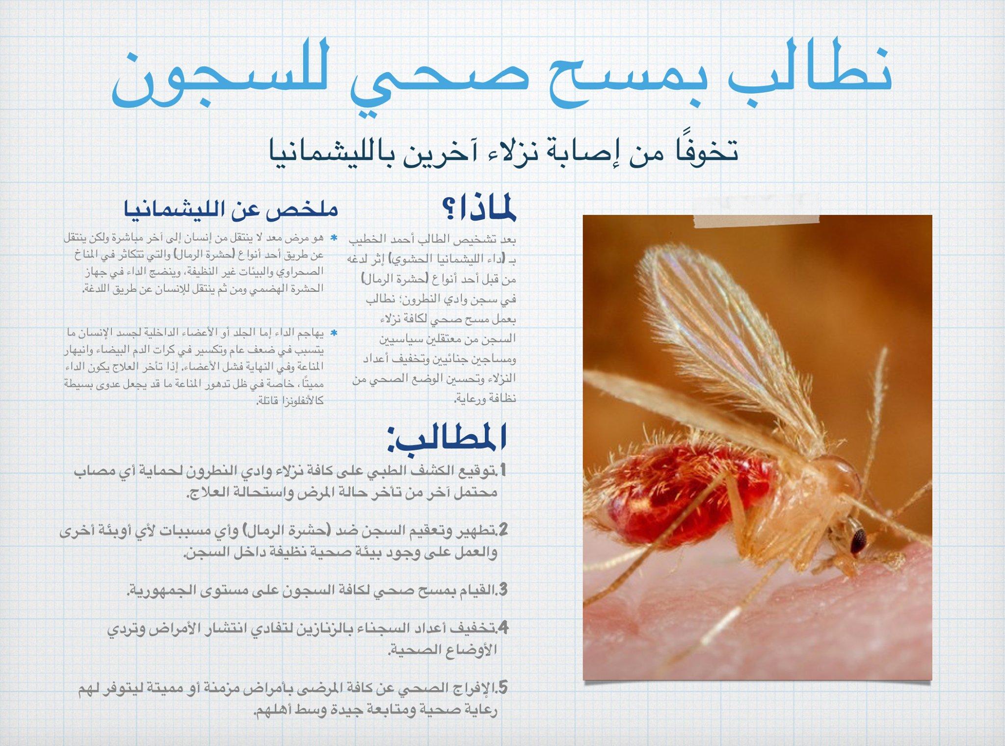 بعد تشخيص الخطيب.. مطالبات بتوقيع مسح صحي كامل على سجون الجمهورية