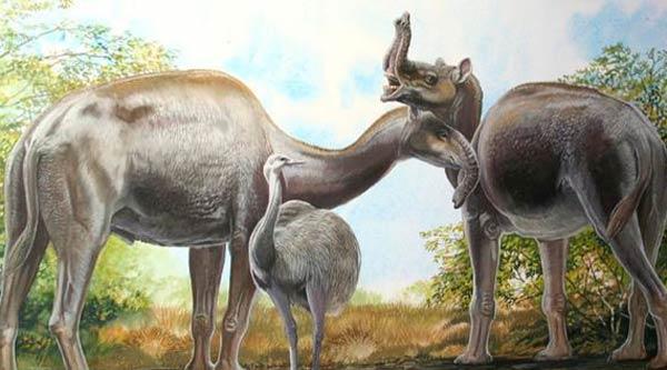 بعد 180 عامًا من البحث.. علماء يكتشفون أصول الجمل والفيل