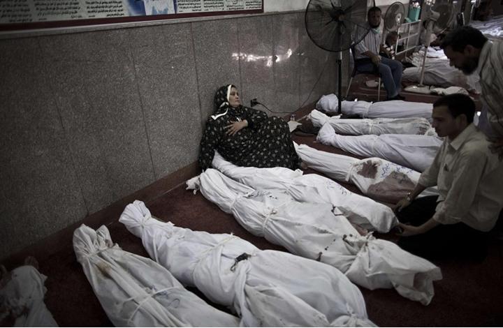 تفاصيل جهود فريق ملاحقة مجرمي الحرب بمصر