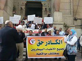 وقفة احتجاجية لنقابة البيطريين بالاسكندرية للمطالبة بالكادر