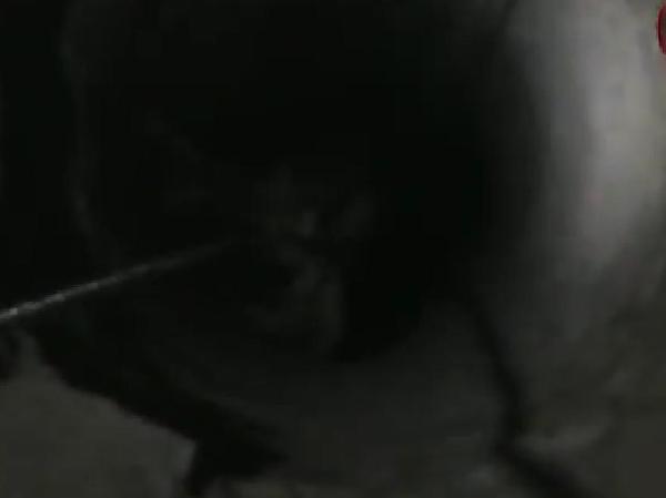 فيديو..استخراج جثث لأهالي سيناء قتلوا من التعذيب