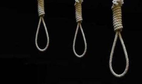 محاموالمتهمين:الحكم وفاة للقضاء فى مصر..ونشطاء:يفتح الباب للعنف