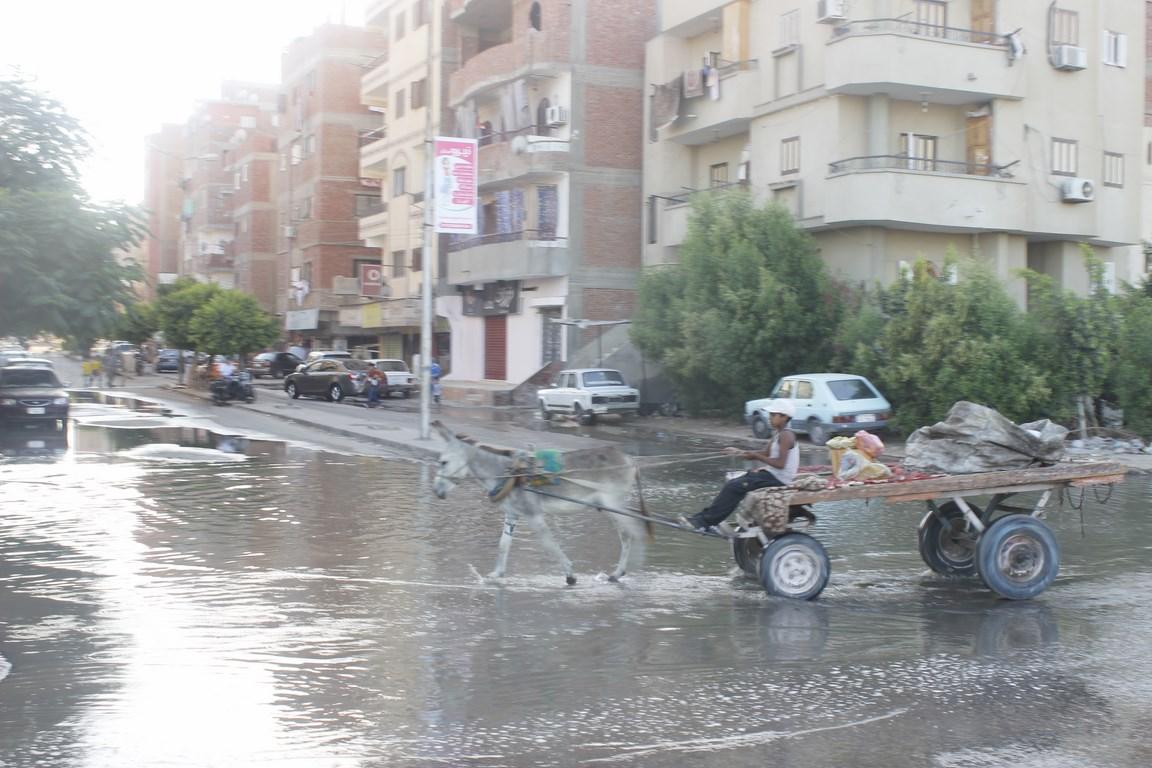 بالصور.. انتشار برك الصرف الصحي بالإسماعيلية والأهالي: تعبنا يا حكومة