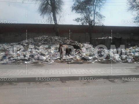 إنتشار القمامة بمدينة “كفر الدوار” وإضراب عمال النظافة