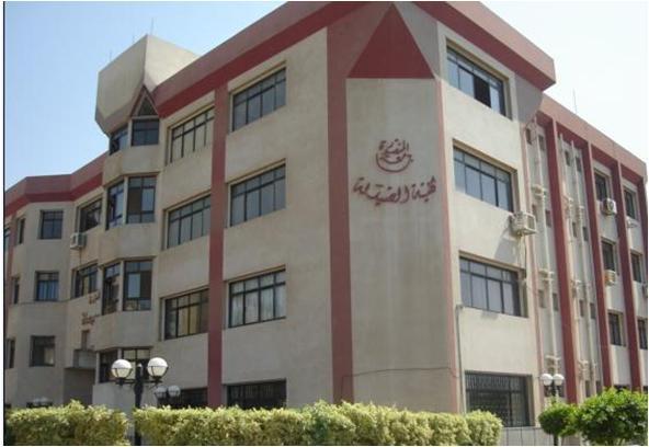 “صيدلة المنصورة” تشارك فى الملتقى الخامس ( HOPE) بطوكيو