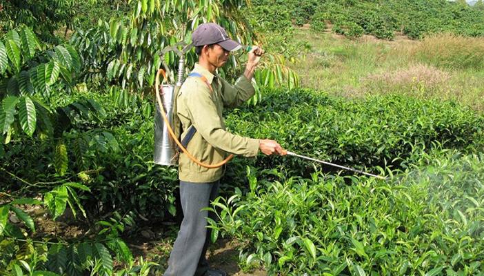 7 آلاف طن من المبيدات منتهية الصلاحية تهدد حياة المصريين