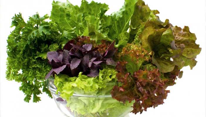 الخضراوات الورقية تحمي من أمراض شيخوخة المخ