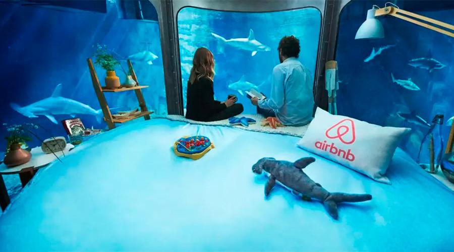 بالفيديو.. ليلة في أعماق البحار جائزة للفائز بمسابقة أدبية في فرنسا