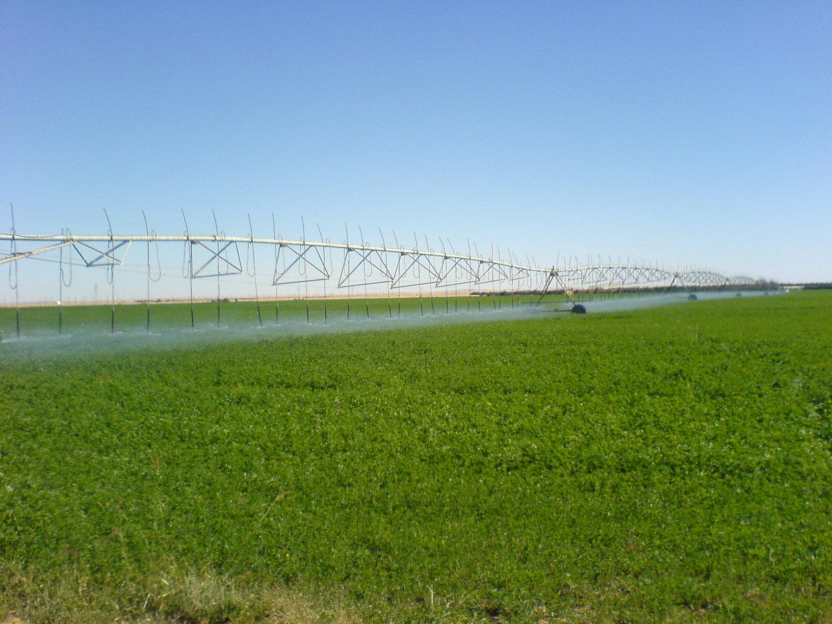 وزارة الدفاع تشتري حصة الوليد بن طلال في مشروع توشكى