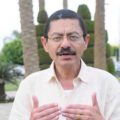 حبيب: تحالف العلمانيين مع الفلول مصالح مشتركة