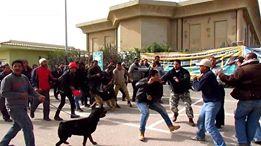 اليوم.. مؤتمر صحفى لعمال “كارجيل” لكشف ممارسات إدارة الشركة