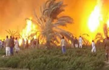 حريق هائل في زراعات النخيل والقصب بإدفو