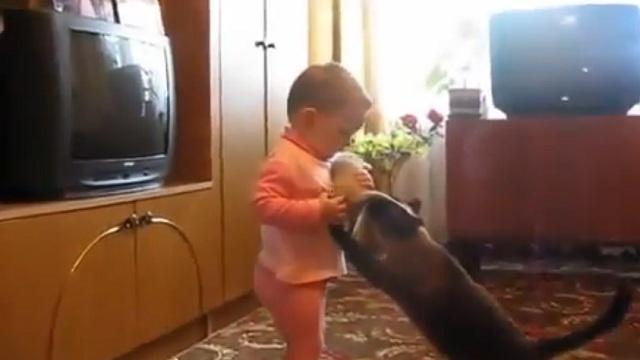 بالفيديو..قطة تتشاجر مع طفل لكي تحتضن صغيرها