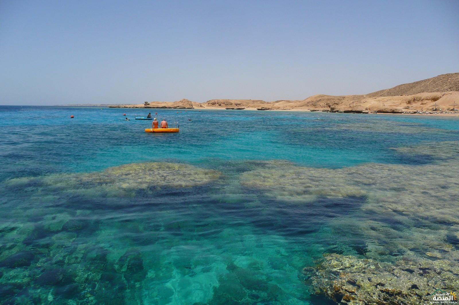 شركة مصرية تعلن عن رحلة لـ”تيران” ومغردون: اللي عاوز يقعد محتاج كفيل