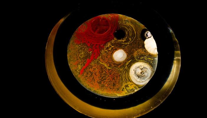 إحدى صيحات الفن.. استخدام الميكروبات في رسم اللوحات الفنية