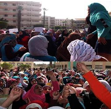 اللحوم المسرطنة تهدد حياة طلاب جامعة القاهرة