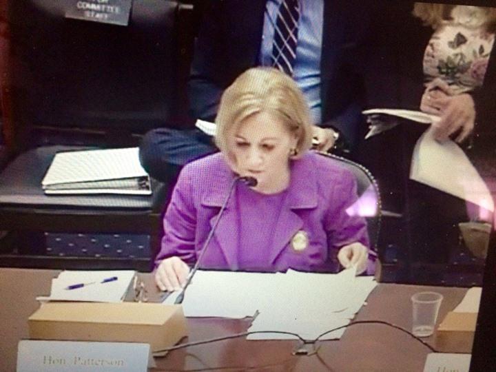 آن باترسون: جماعة الإخوان ليست إرهابية.. ووضع حقوق الإنسان في مصر مقلق