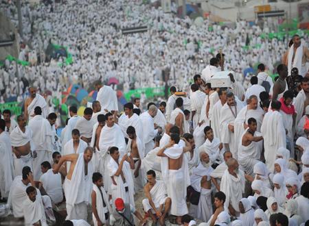 الشئون الاجتماعية بأسيوط تتلقي طلبات الحج