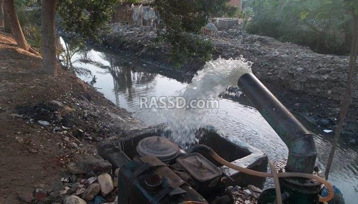 أراضي وماشية فلاحي كفر الجزيرة في بني سويف مهددة لتلوث الترع