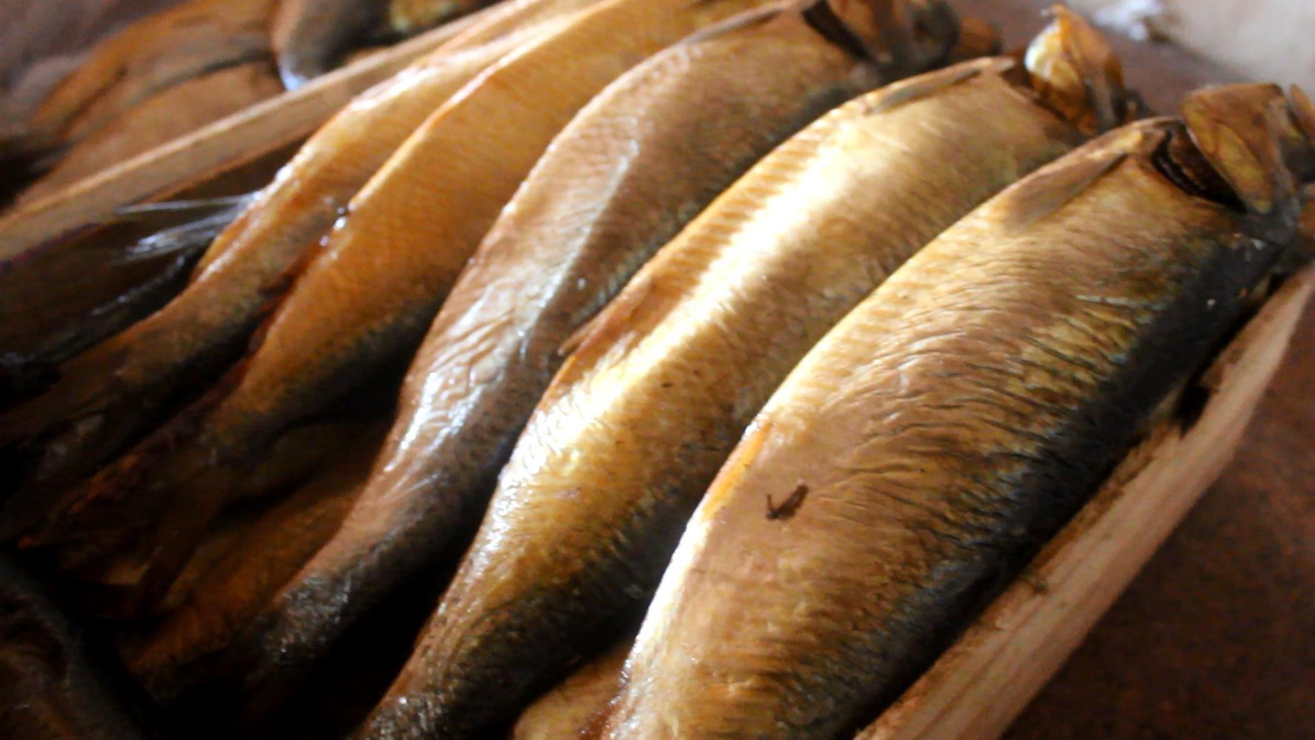 خبير الإدارة المحلية: “وجبة فسيخ ورنجة تكلف الأسرة 307 جنيهات”