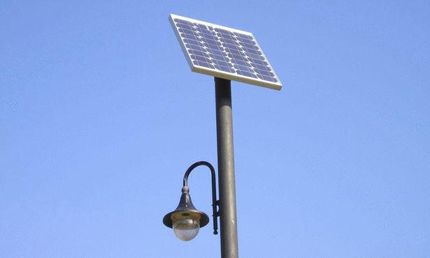 بورسعيد.. بحث تبديل أعمدة الانارة الكهربية بأخرى شمسية