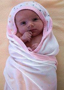 مواطن يسمي ابنته “صنافير” اعتراضًا على تنازل السيسي عن الجزيرتين