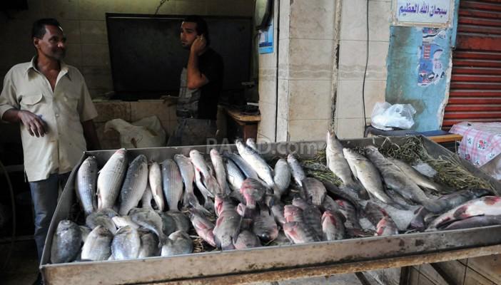 ننشر أسعار الخضراوات والفاكهة والأسماك بسوق العبور