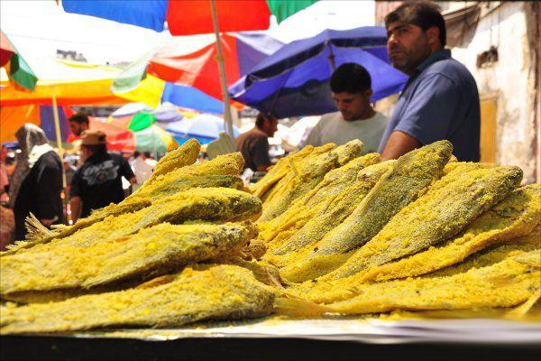 الإسهال يهتك بطون الحيوانات جراء فسيخ مصريين.. هذا ما سيصيب الشعب