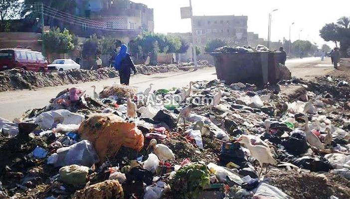 بالصور.. القمامة تحاصر المساكن والمدارس في بهرمس بالجيزة