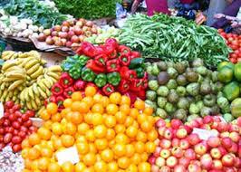 رغم الحصار..غزة تحقق الاكتفاء الذاتي من المنتجات الزراعية