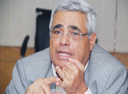 نافعة: التعديل الوزاري غير مجدي والحل فى “التكنوقراط”